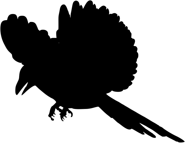 Car-Sticker "Ekster"