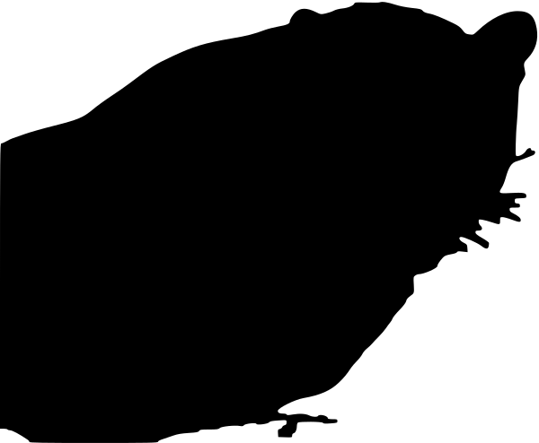 Car-Sticker "Wildkatze"