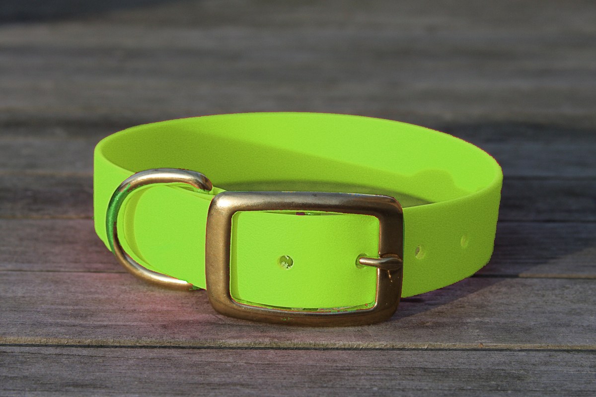 Biothane Halsband 25mm (Schnalle) in apfel-grün — handgefertigt
