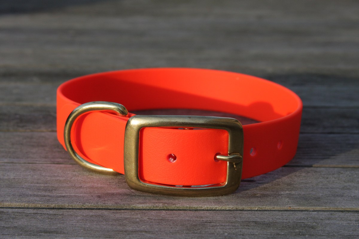 Preview: Biothane Halsband 25mm (Schnalle) in neon-orange — handgefertigt