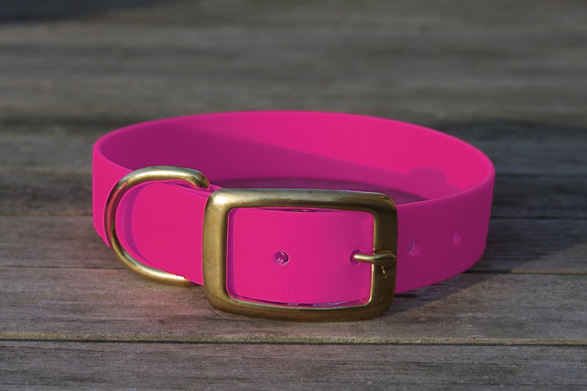 Biothane Halsband 25mm (Schnalle) in beere — handgefertigt