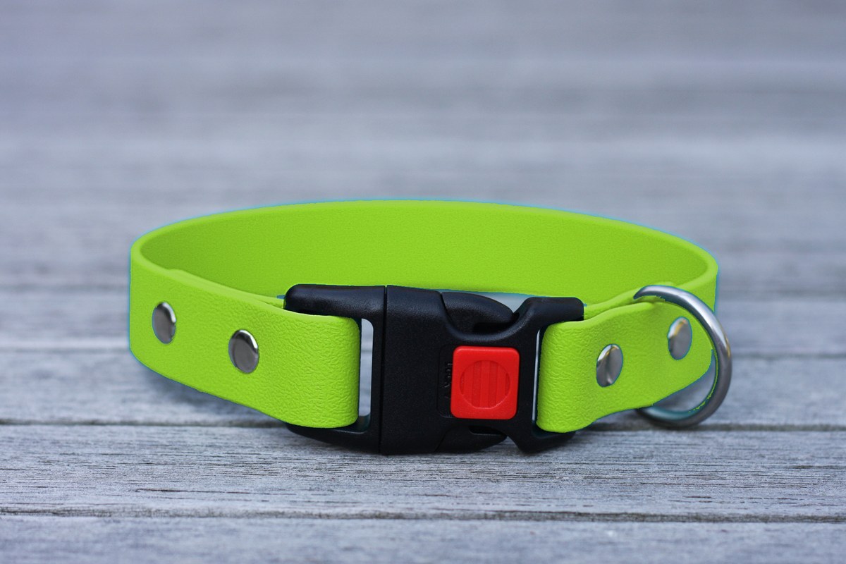 Biothane Halsband 25mm (Clic schwarz) in apfel-grün — handgefertigt