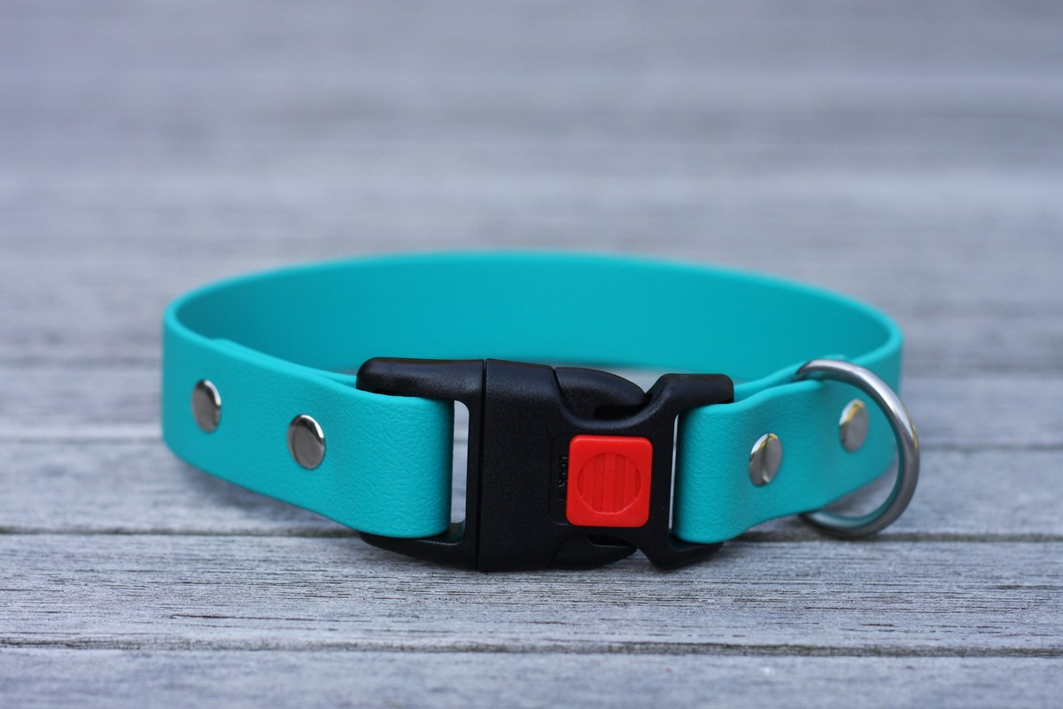 Biothane Halsband 25mm (Clic schwarz) in cyan-blau — handgefertigt