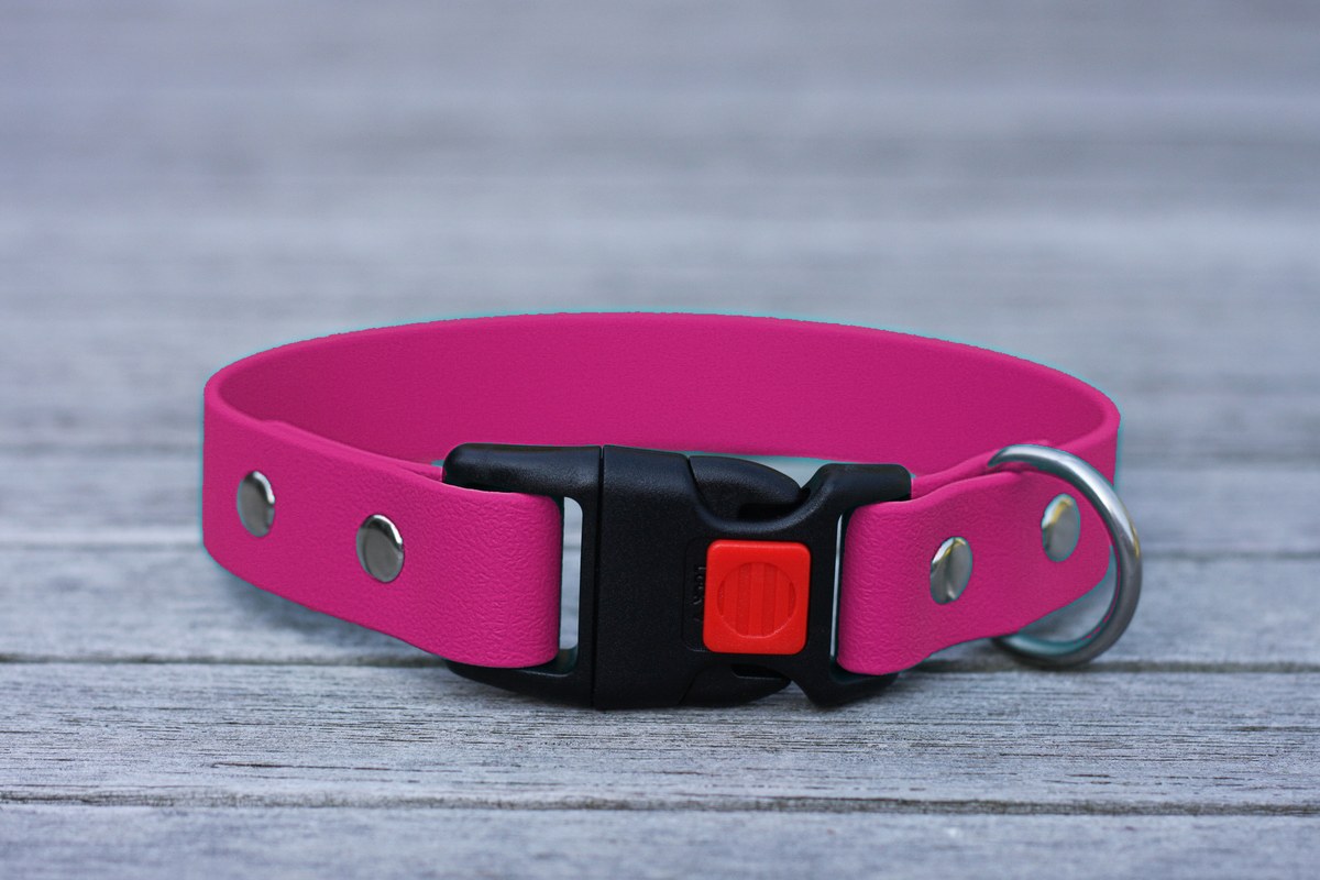 Biothane Halsband 25mm (Clic schwarz) in beere — handgefertigt