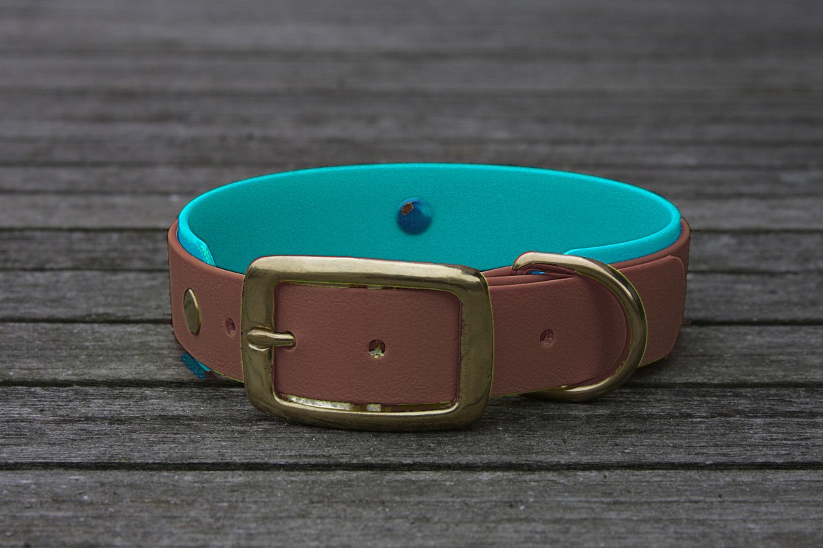 Biothane Halsband 19/25mm "bicolor" (Schnalle) bicolor: braun / türkis-grün — handgefertigt