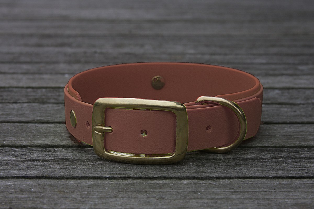 Biothane Halsband 19/25mm "bicolor" (Schnalle) bicolor: braun / braun — handgefertigt