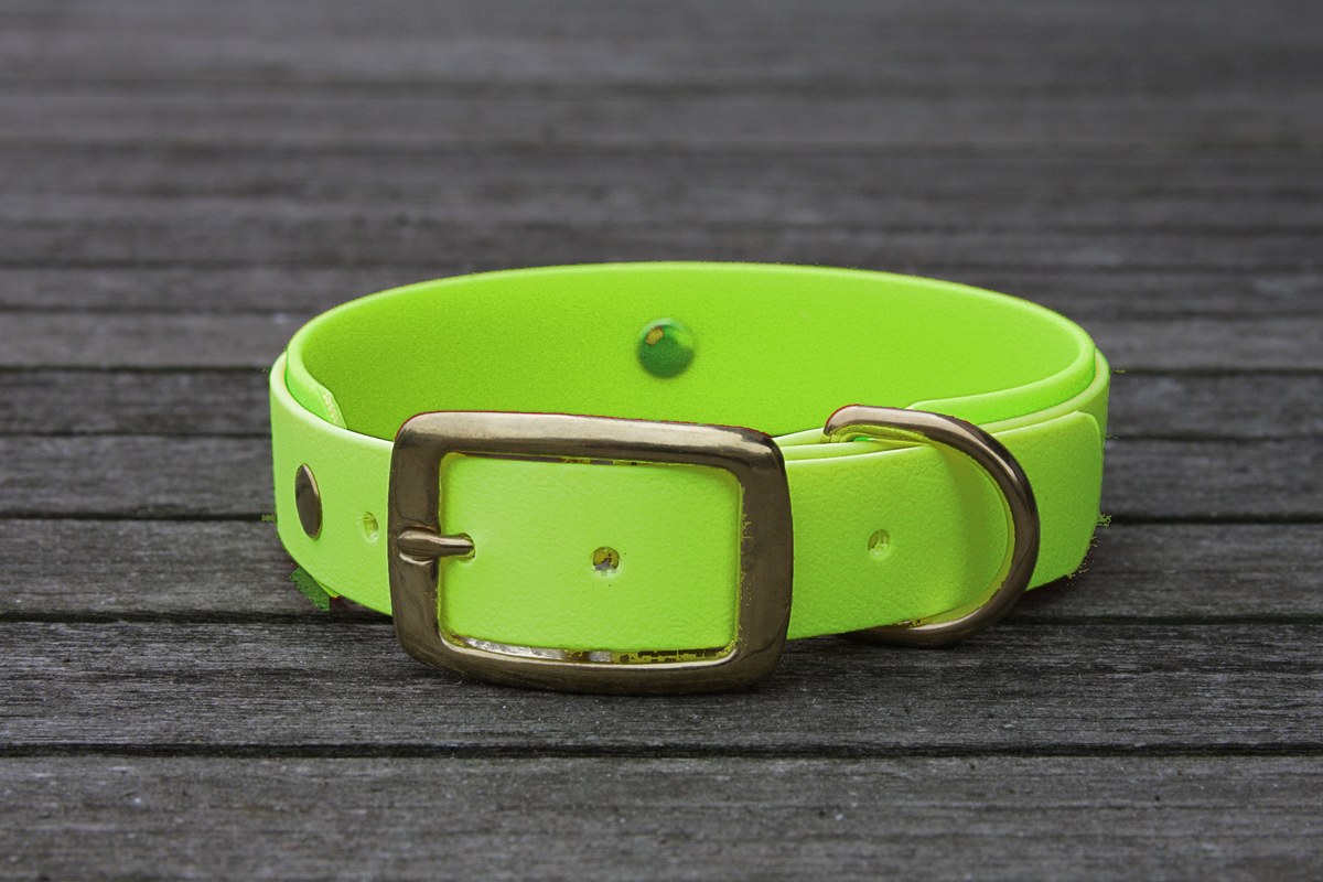 Biothane Halsband 19/25mm "bicolor" (Schnalle) bicolor: apfel-grün / apfel-grün — handgefertigt