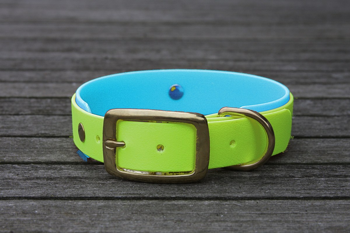 Biothane Halsband 19/25mm "bicolor" (Schnalle) bicolor: apfel-grün / cyan-blau — handgefertigt