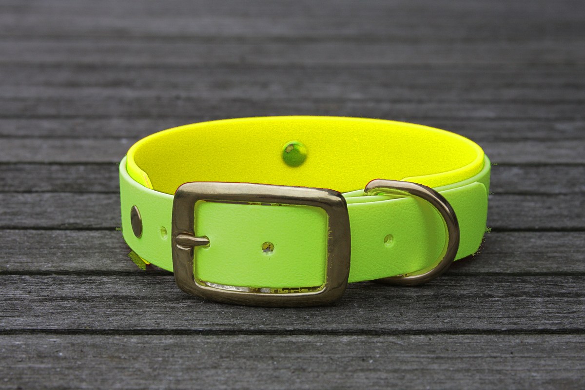 Biothane Halsband 19/25mm "bicolor" (Schnalle) bicolor: apfel-grün / neon-gelb — handgefertigt