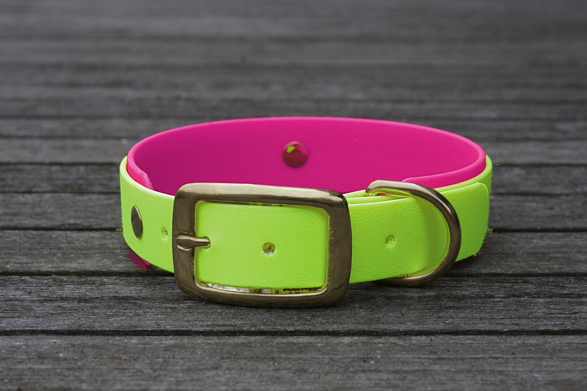 Biothane Halsband 19/25mm "bicolor" (Schnalle) bicolor: apfel-grün / beere — handgefertigt