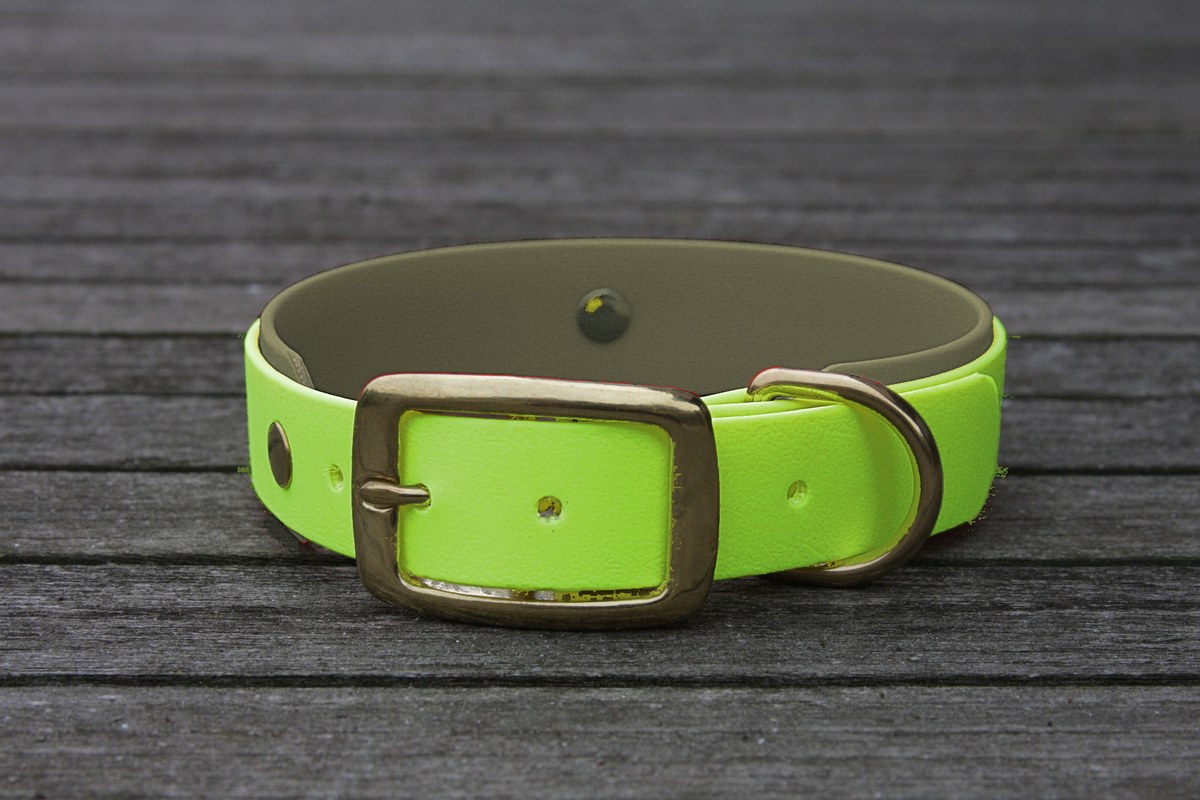 Biothane Halsband 19/25mm "bicolor" (Schnalle) bicolor: apfel-grün / olive / Jagd-grün — handgefertigt