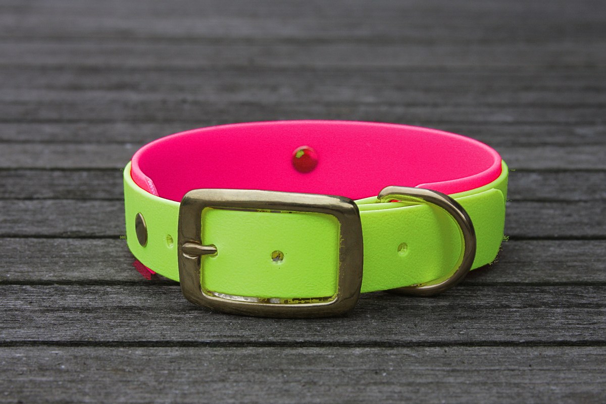 Biothane Halsband 19/25mm "bicolor" (Schnalle) bicolor: apfel-grün / magenta — handgefertigt