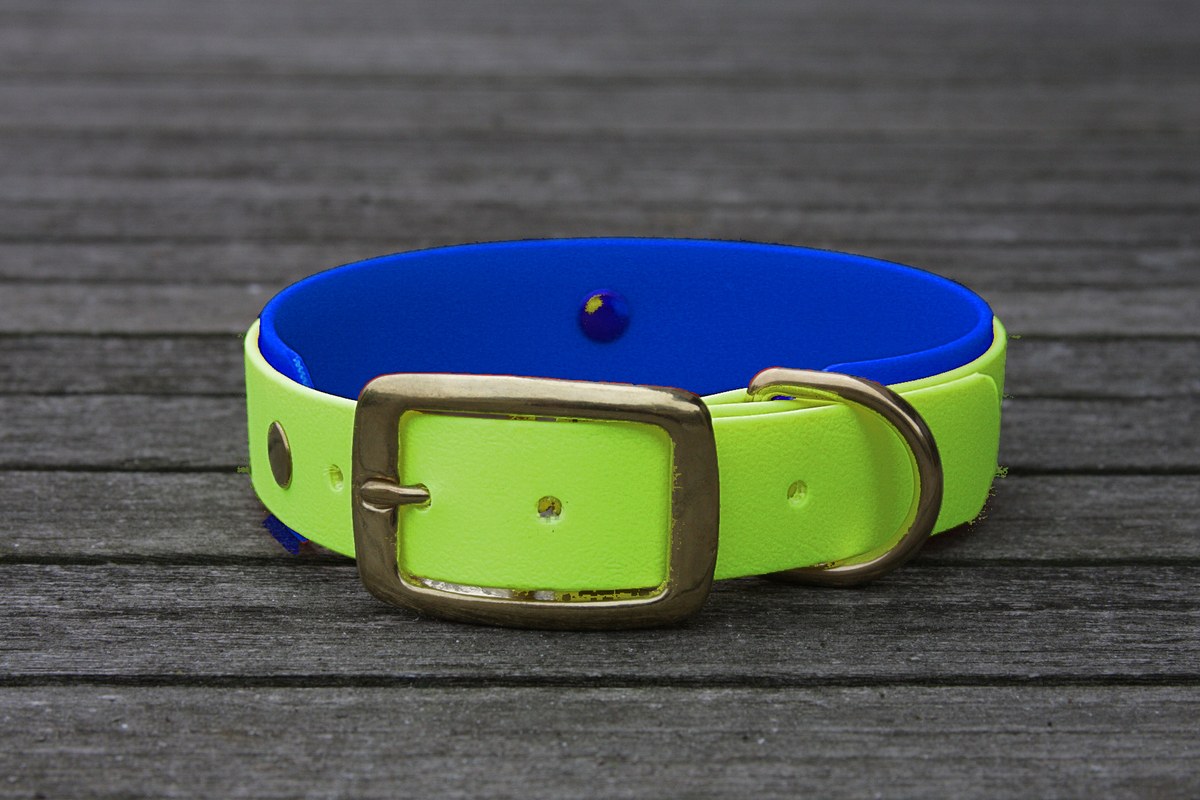 Biothane Halsband 19/25mm "bicolor" (Schnalle) bicolor: apfel-grün / dunkel-blau — handgefertigt
