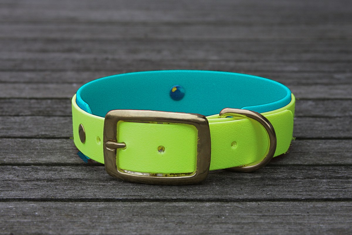 Biothane Halsband 19/25mm "bicolor" (Schnalle) bicolor: apfel-grün / türkis-grün — handgefertigt