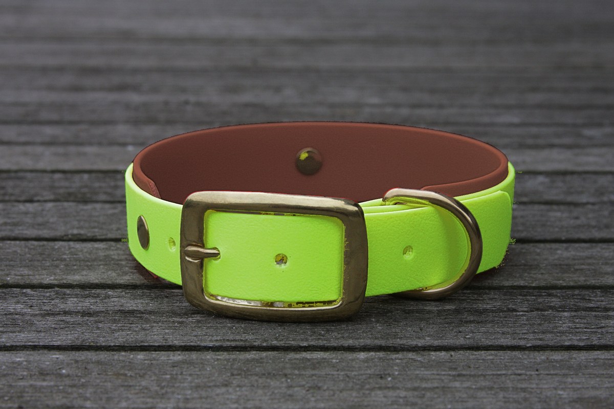 Biothane Halsband 19/25mm "bicolor" (Schnalle) bicolor: apfel-grün / braun — handgefertigt