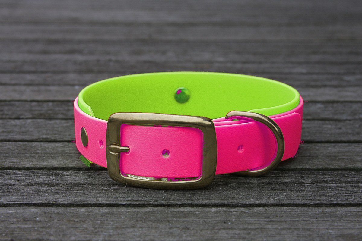 Biothane Halsband 19/25mm "bicolor" (Schnalle) bicolor: magenta / apfel-grün — handgefertigt