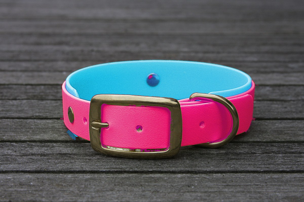 Biothane Halsband 19/25mm "bicolor" (Schnalle) bicolor: magenta / cyan-blau — handgefertigt