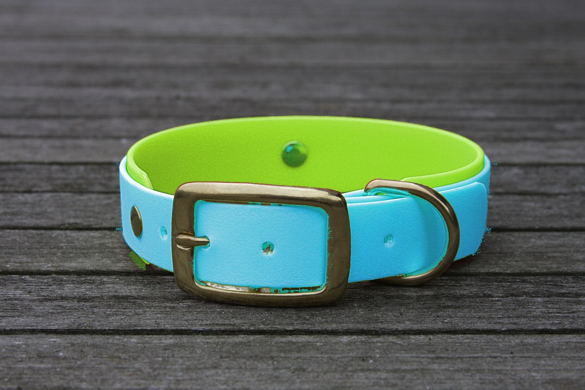 Biothane Halsband 19/25mm "bicolor" (Schnalle) bicolor: cyan-blau / apfel-grün — handgefertigt