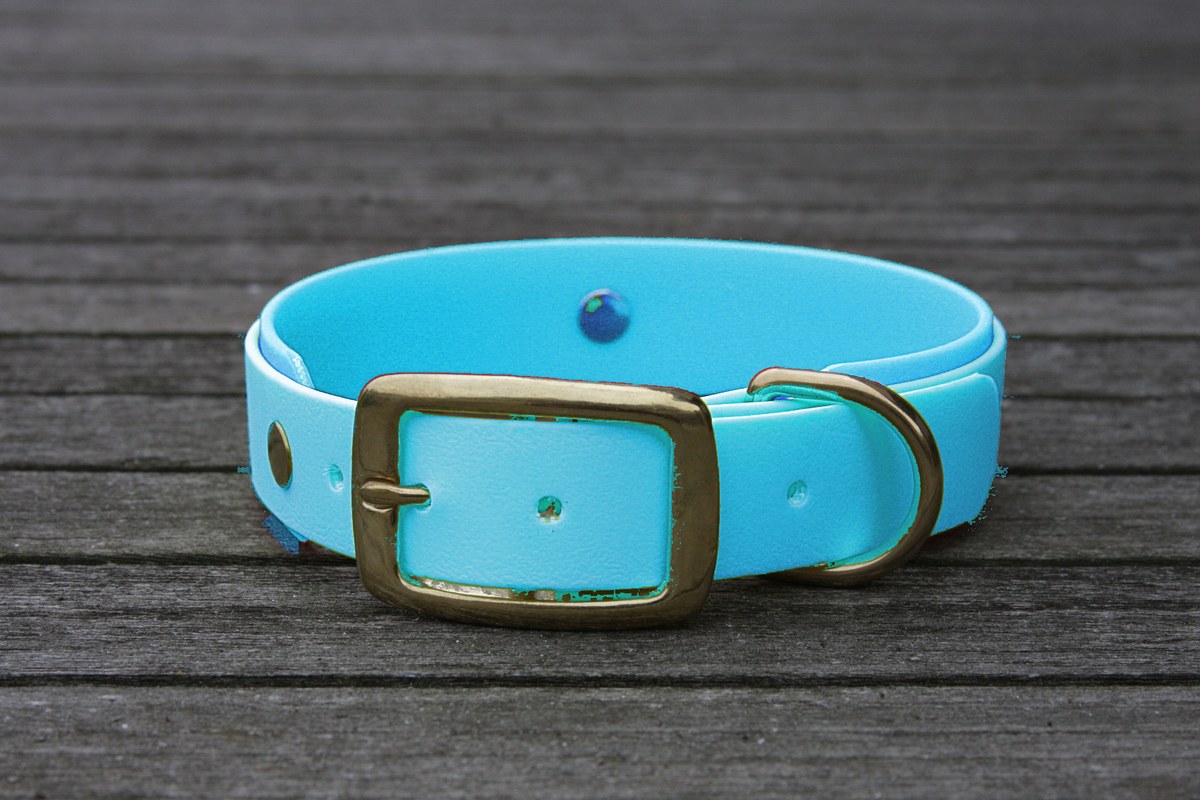 Biothane Halsband 19/25mm "bicolor" (Schnalle) bicolor: cyan-blau / cyan-blau — handgefertigt