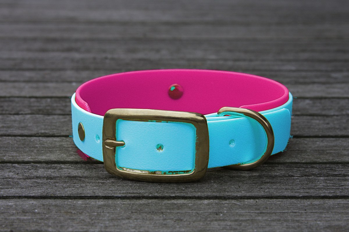 Biothane Halsband 19/25mm "bicolor" (Schnalle) bicolor: cyan-blau / beere — handgefertigt