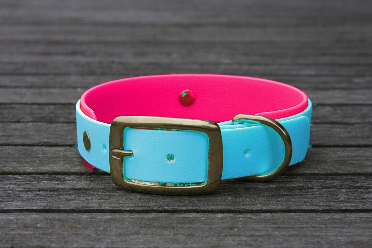 Biothane Halsband 19/25mm "bicolor" (Schnalle) bicolor: cyan-blau / magenta — handgefertigt