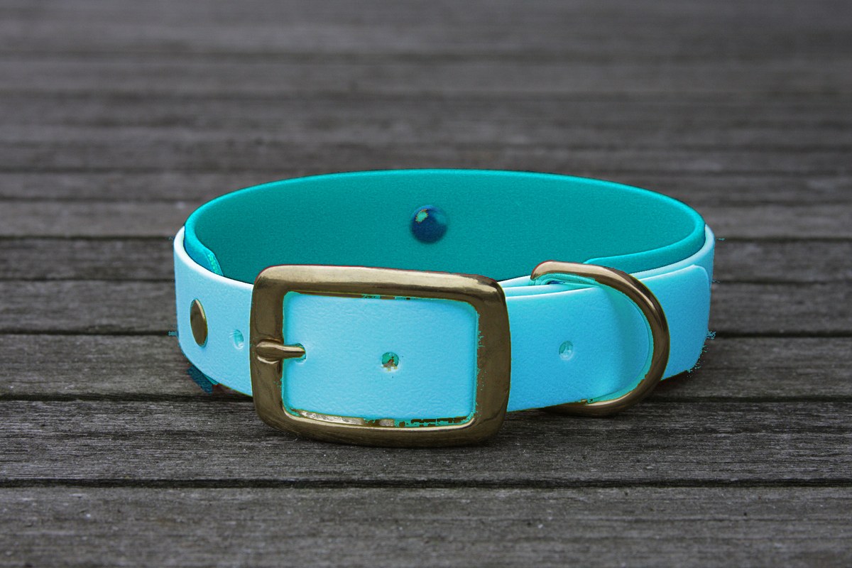 Biothane Halsband 19/25mm "bicolor" (Schnalle) bicolor: cyan-blau / türkis-grün — handgefertigt