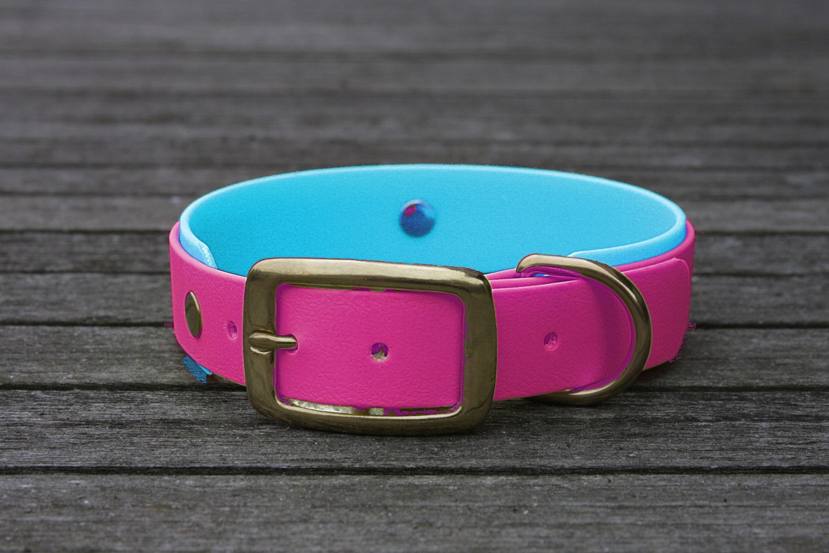 Biothane Halsband 19/25mm "bicolor" (Schnalle) bicolor: beere / cyan-blau — handgefertigt