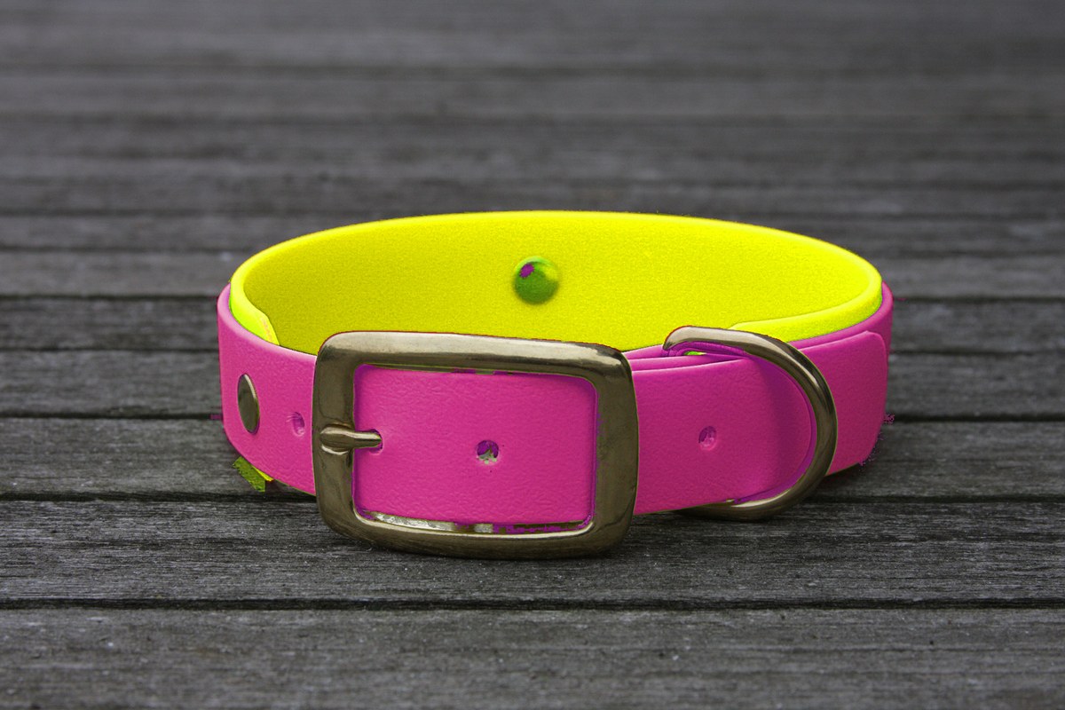 Biothane Halsband 19/25mm "bicolor" (Schnalle) bicolor: beere / neon-gelb — handgefertigt