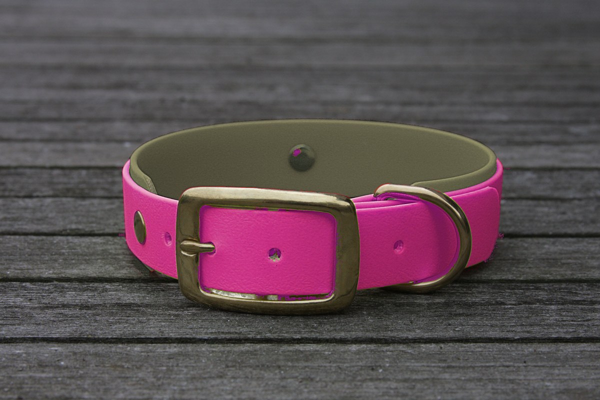 Biothane Halsband 19/25mm "bicolor" (Schnalle) bicolor: beere / olive / Jagd-grün — handgefertigt
