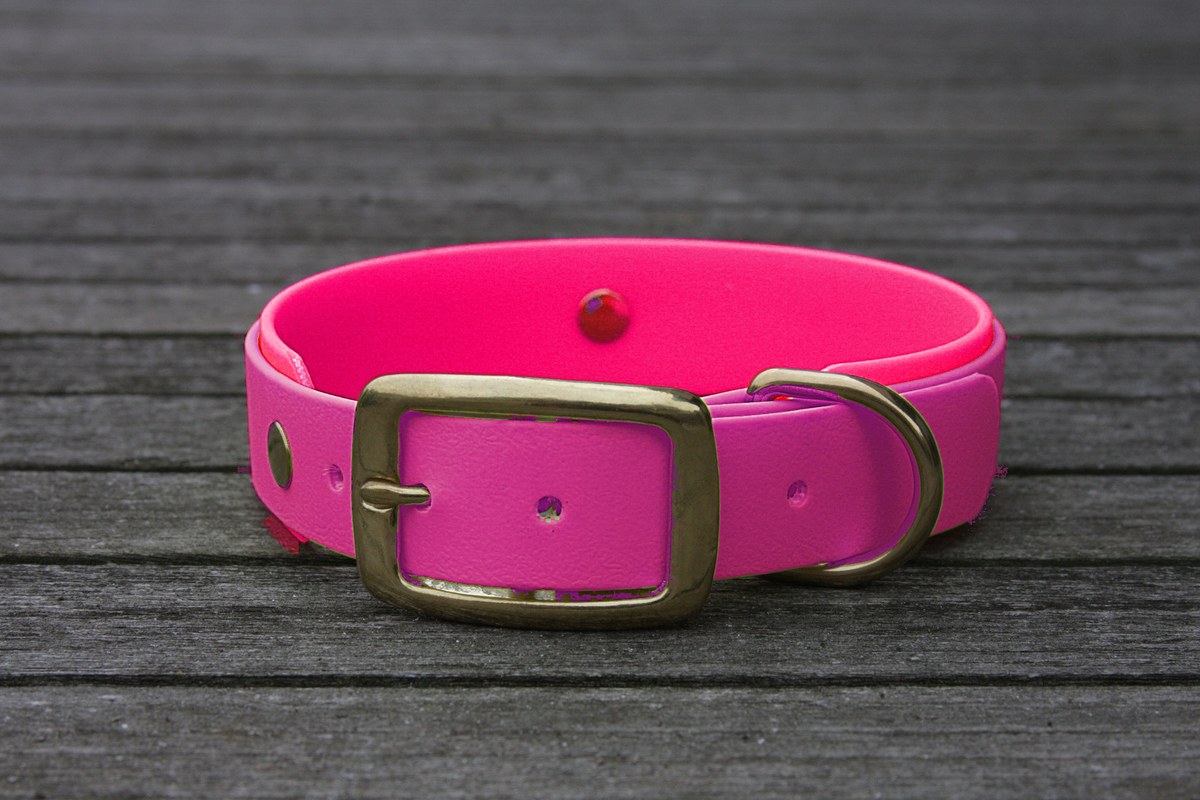 Biothane Halsband 19/25mm "bicolor" (Schnalle) bicolor: beere / magenta — handgefertigt