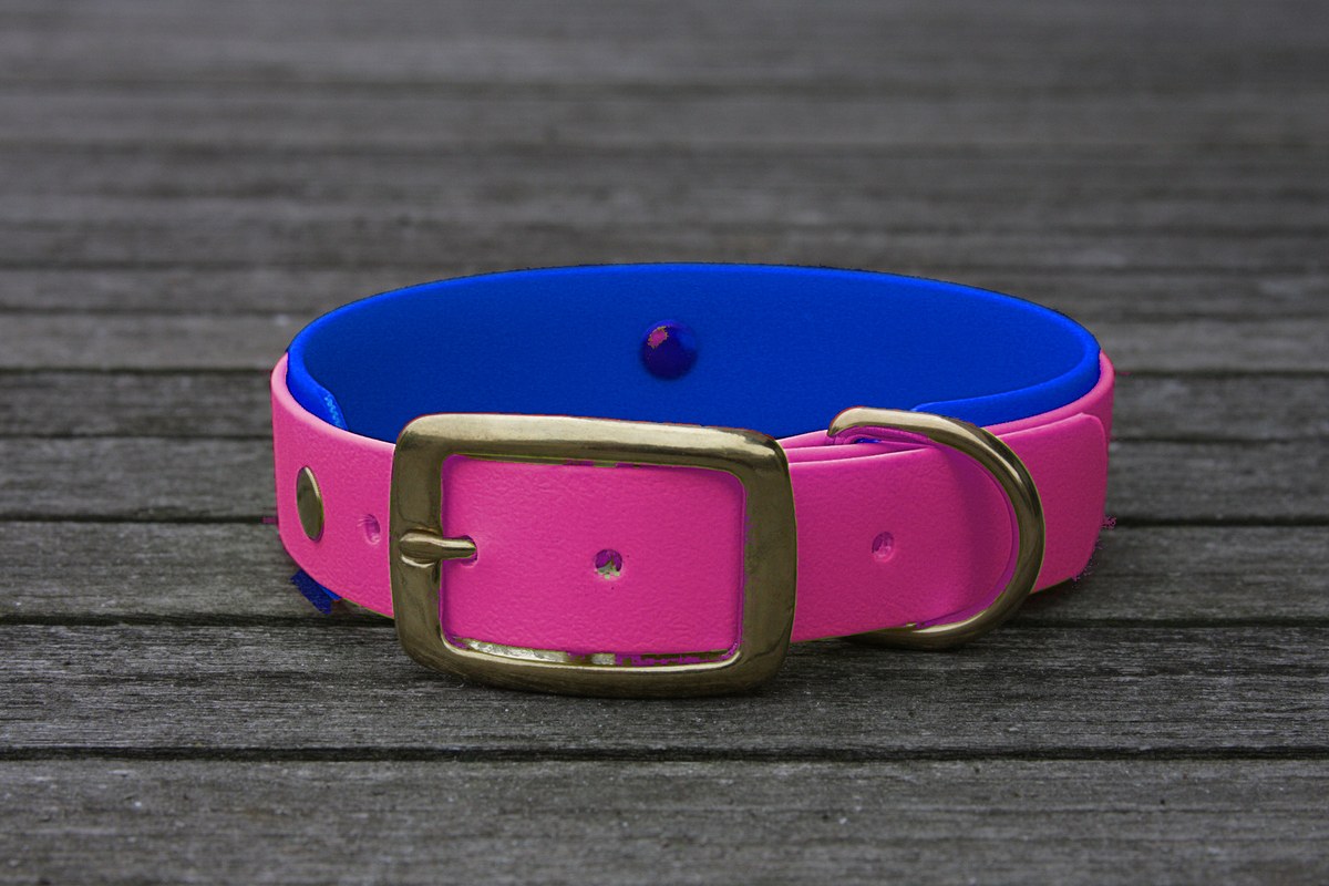Biothane Halsband 19/25mm "bicolor" (Schnalle) bicolor: beere / dunkel-blau — handgefertigt