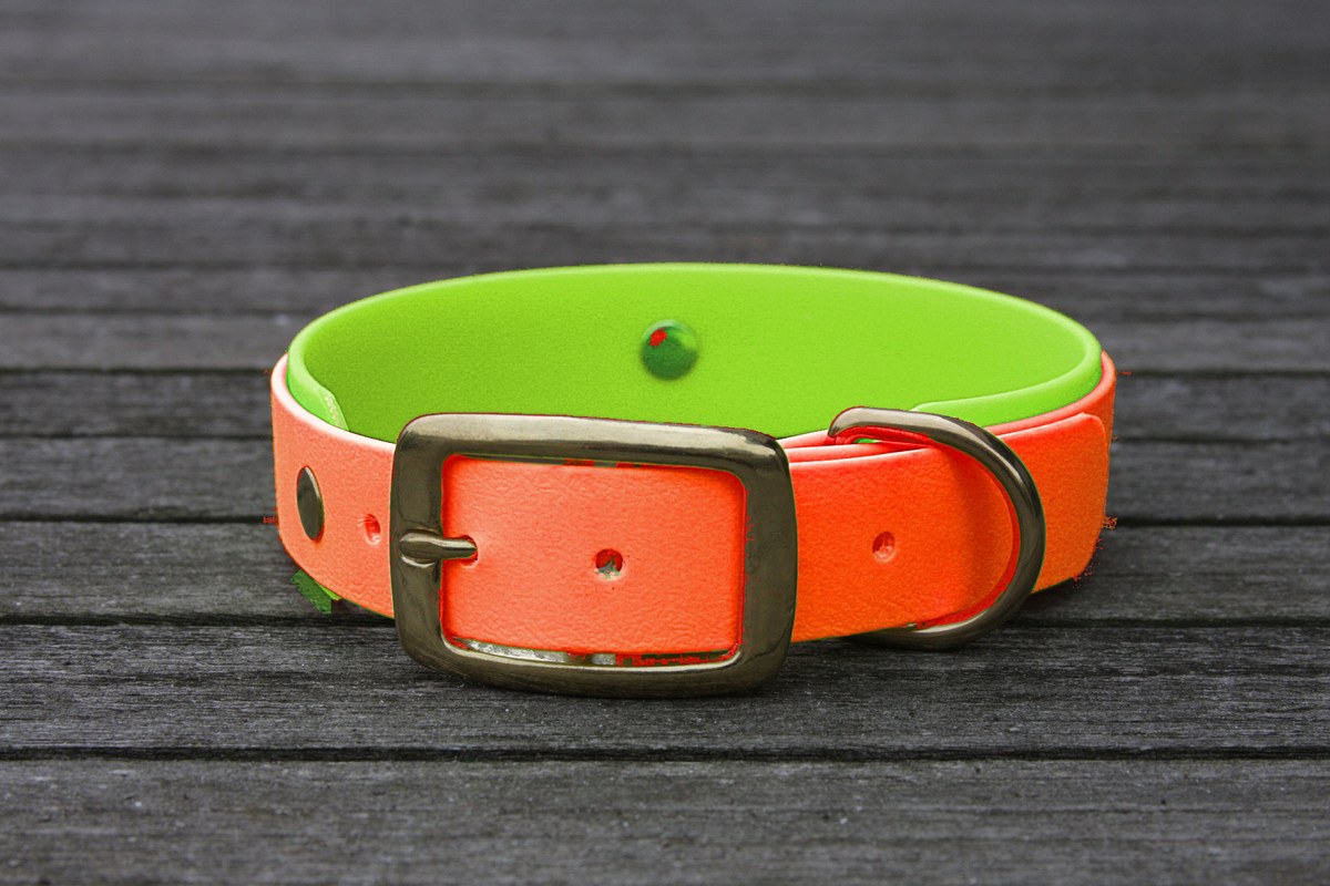 Biothane Halsband 19/25mm "bicolor" (Schnalle) bicolor: neon-orange / apfel-grün — handgefertigt