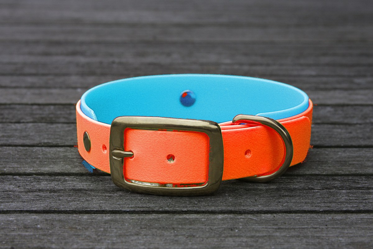 Biothane Halsband 19/25mm "bicolor" (Schnalle) bicolor: neon-orange / cyan-blau — handgefertigt