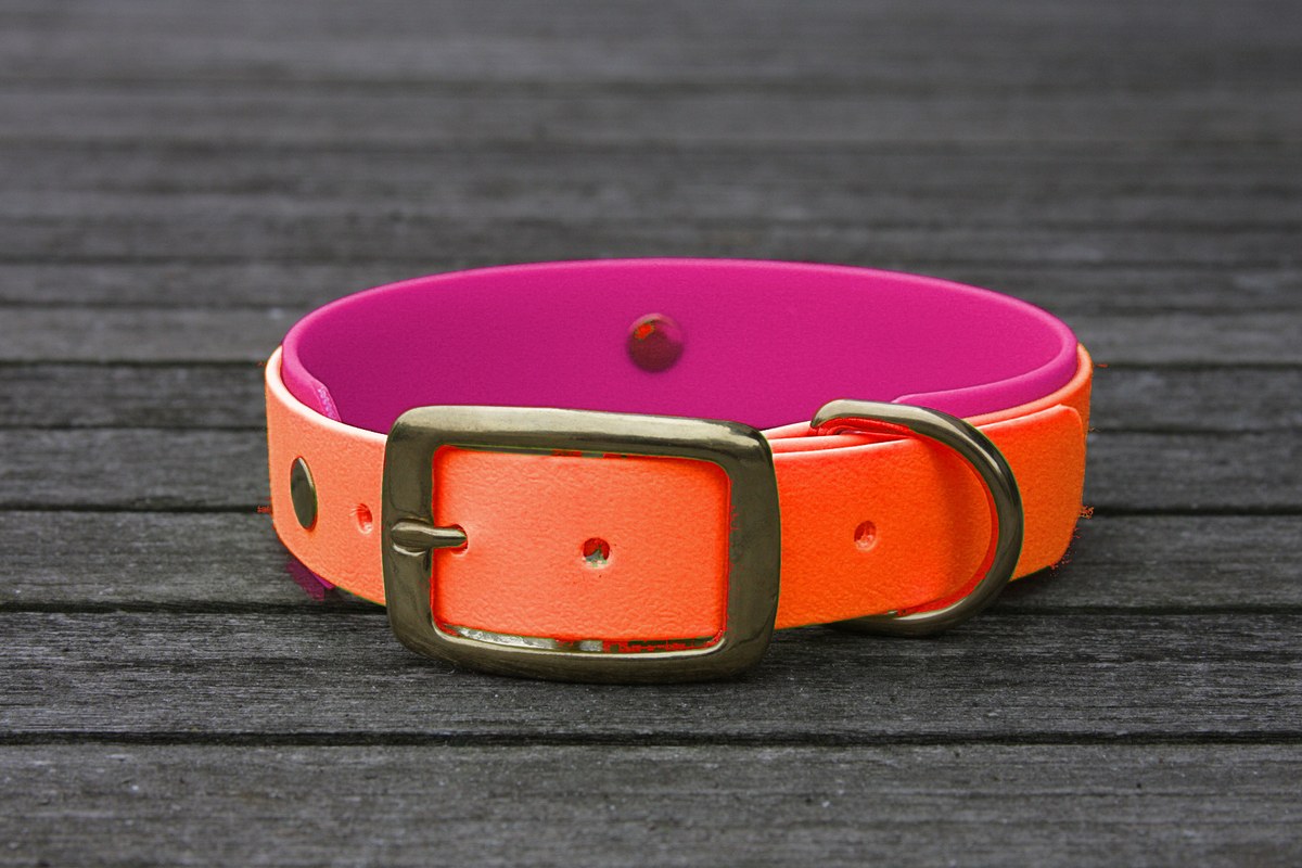 Biothane Halsband 19/25mm "bicolor" (Schnalle) bicolor: neon-orange / beere — handgefertigt
