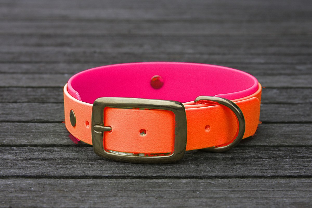 Biothane Halsband 19/25mm "bicolor" (Schnalle) bicolor: neon-orange / magenta — handgefertigt