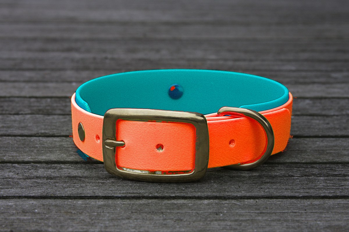 Biothane Halsband 19/25mm "bicolor" (Schnalle) bicolor: neon-orange / türkis-grün — handgefertigt