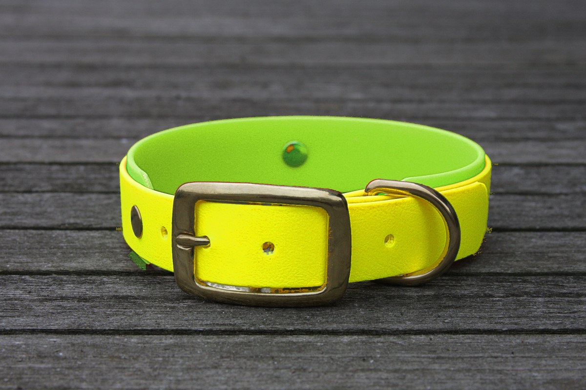 Biothane Halsband 19/25mm "bicolor" (Schnalle) bicolor: neon-gelb / apfel-grün — handgefertigt