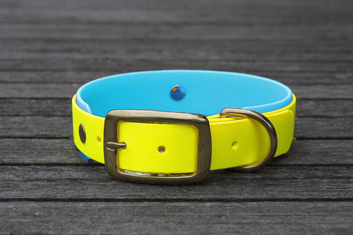 Biothane Halsband 19/25mm "bicolor" (Schnalle) bicolor: neon-gelb / cyan-blau — handgefertigt