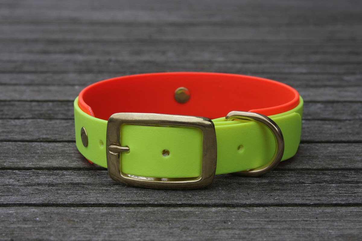 Biothane Halsband 19/25mm "bicolor" (Schnalle) bicolor: neon-gelb / neon-orange — handgefertigt