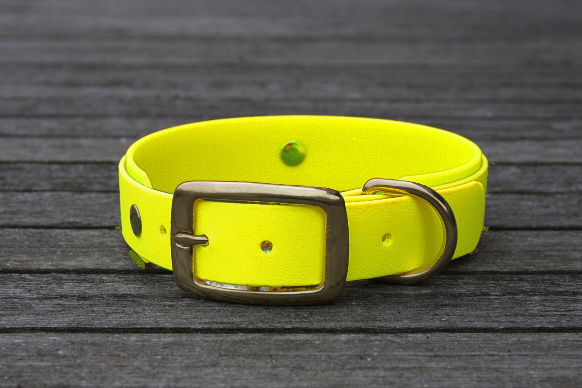 Biothane Halsband 19/25mm "bicolor" (Schnalle) bicolor: neon-gelb / neon-gelb — handgefertigt