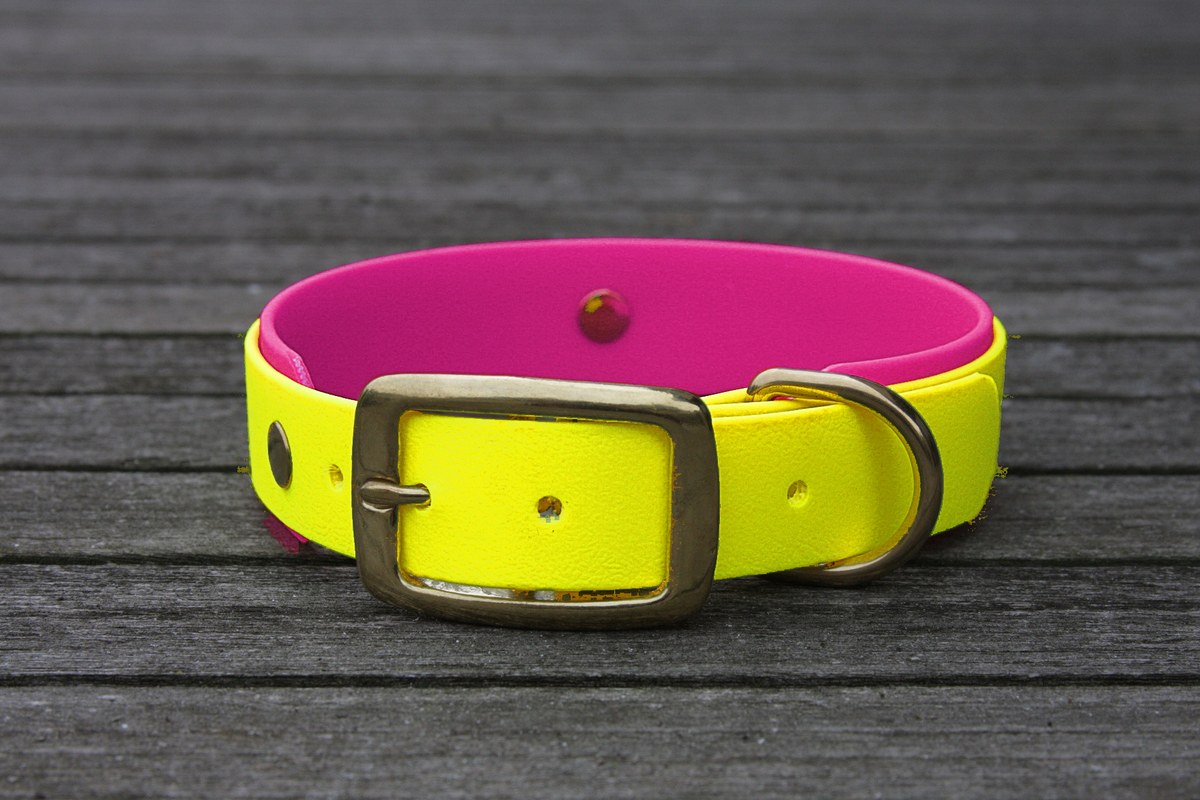 Biothane Halsband 19/25mm "bicolor" (Schnalle) bicolor: neon-gelb / beere — handgefertigt