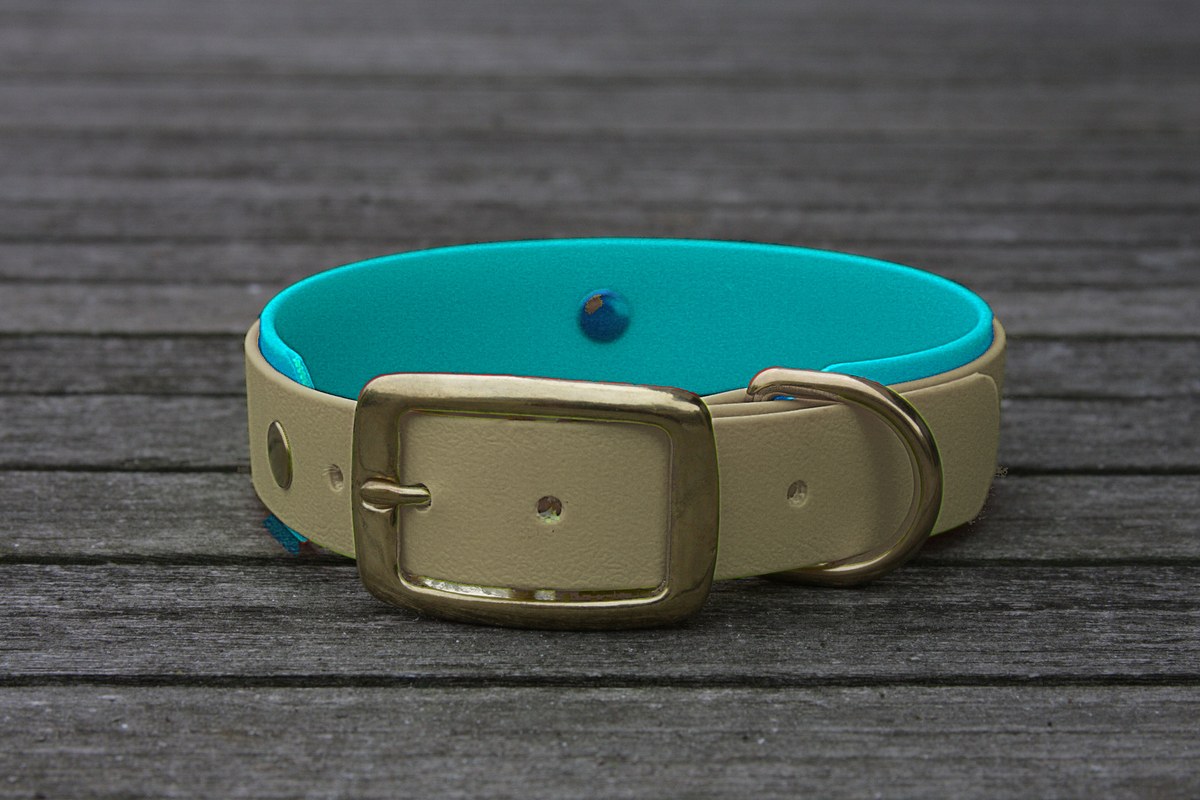 Biothane Halsband 19/25mm "bicolor" (Schnalle) bicolor: taupe / türkis-grün — handgefertigt