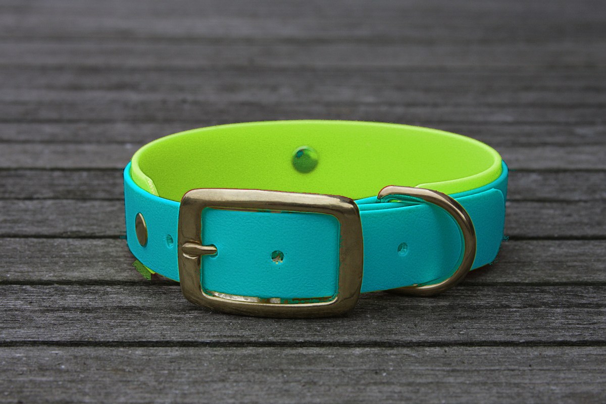 Biothane Halsband 19/25mm "bicolor" (Schnalle) bicolor: türkis-grün / apfel-grün — handgefertigt