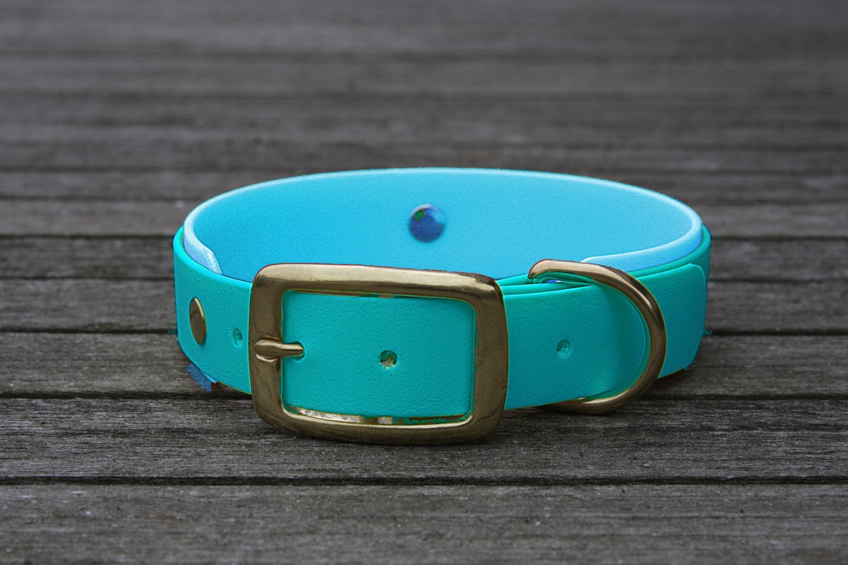 Biothane Halsband 19/25mm "bicolor" (Schnalle) bicolor: türkis-grün / cyan-blau — handgefertigt
