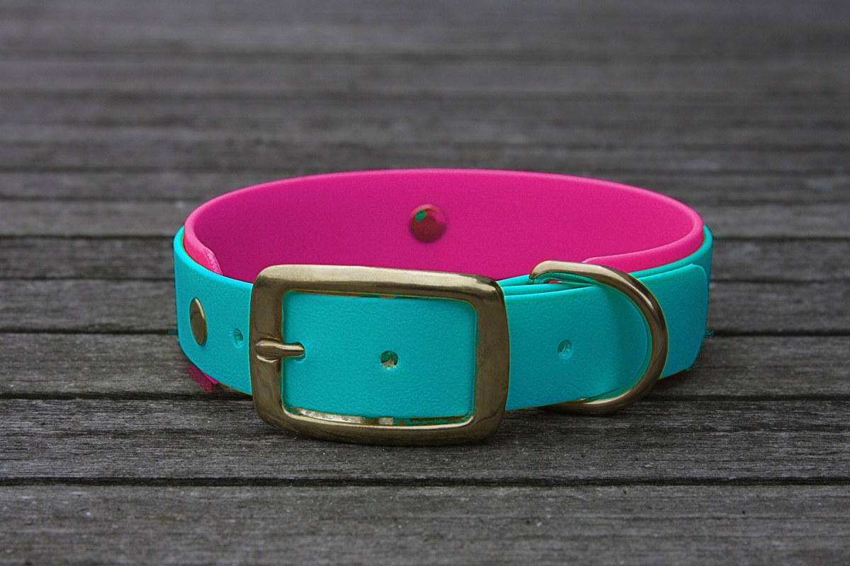 Biothane Halsband 19/25mm "bicolor" (Schnalle) bicolor: türkis-grün / beere — handgefertigt