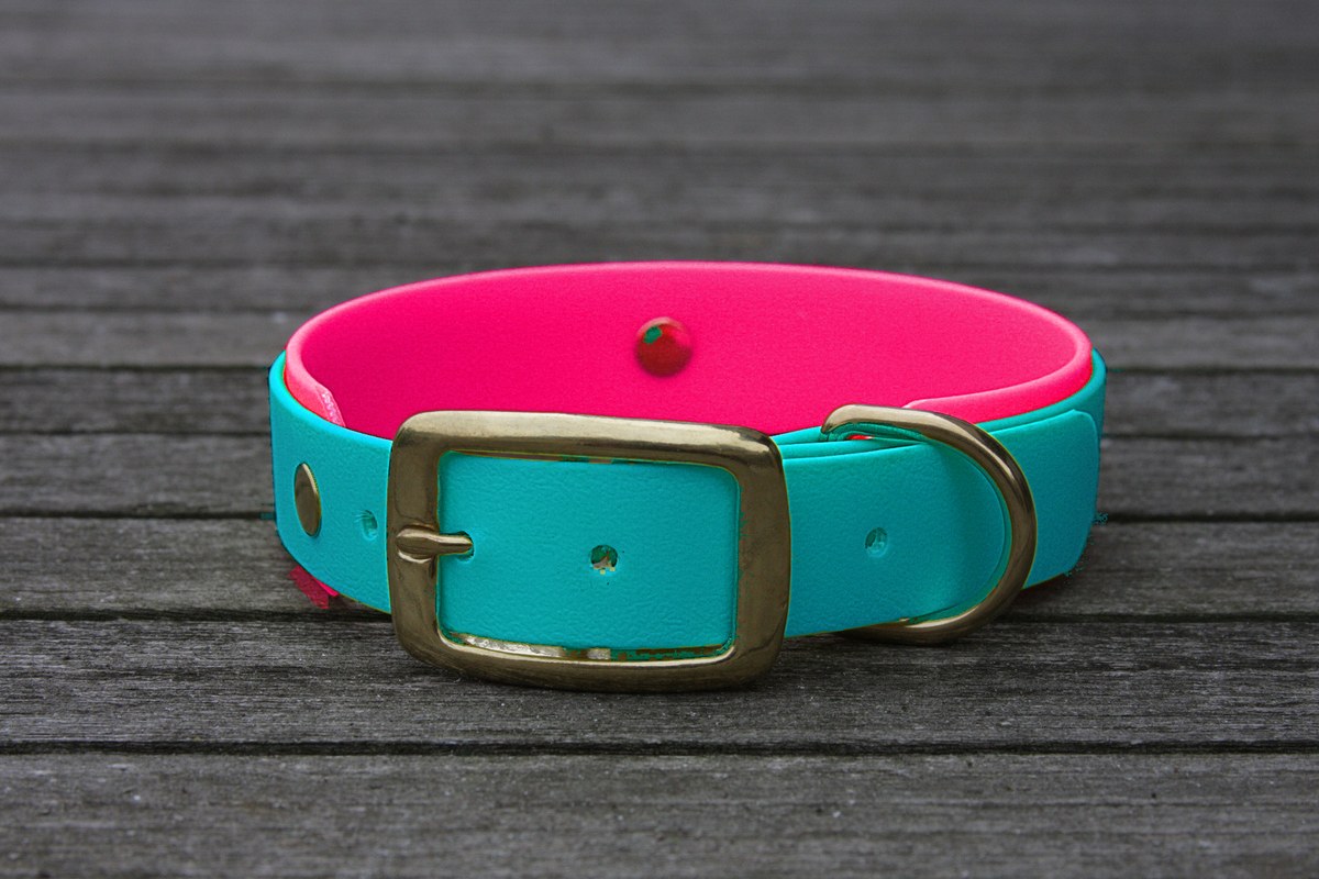 Biothane Halsband 19/25mm "bicolor" (Schnalle) bicolor: türkis-grün / magenta — handgefertigt