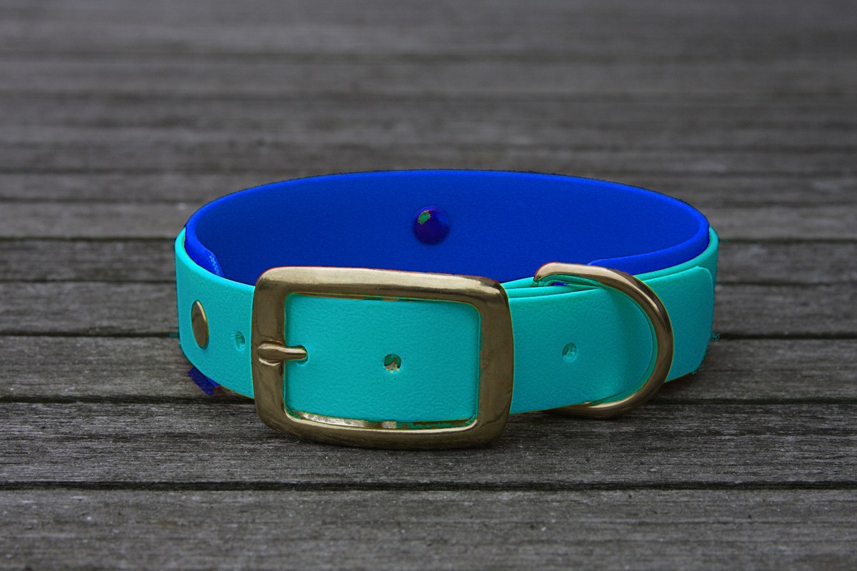 Biothane Halsband 19/25mm "bicolor" (Schnalle) bicolor: türkis-grün / dunkel-blau — handgefertigt