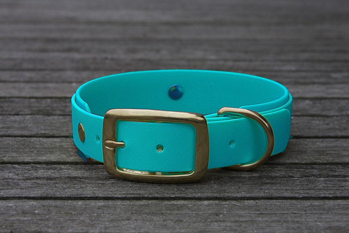 Biothane Halsband 19/25mm "bicolor" (Schnalle) bicolor: türkis-grün / türkis-grün — handgefertigt