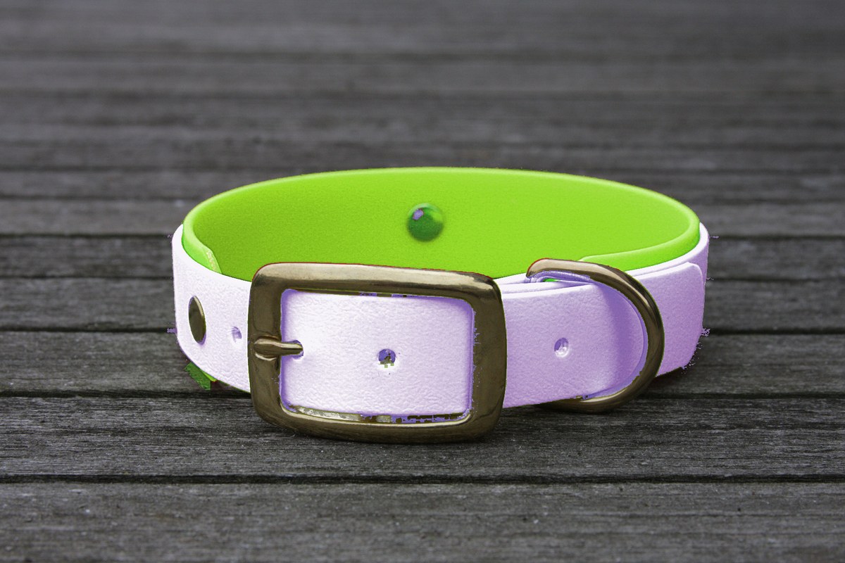 Biothane Halsband 19/25mm "bicolor" (Schnalle) bicolor: lavendel / apfel-grün — handgefertigt