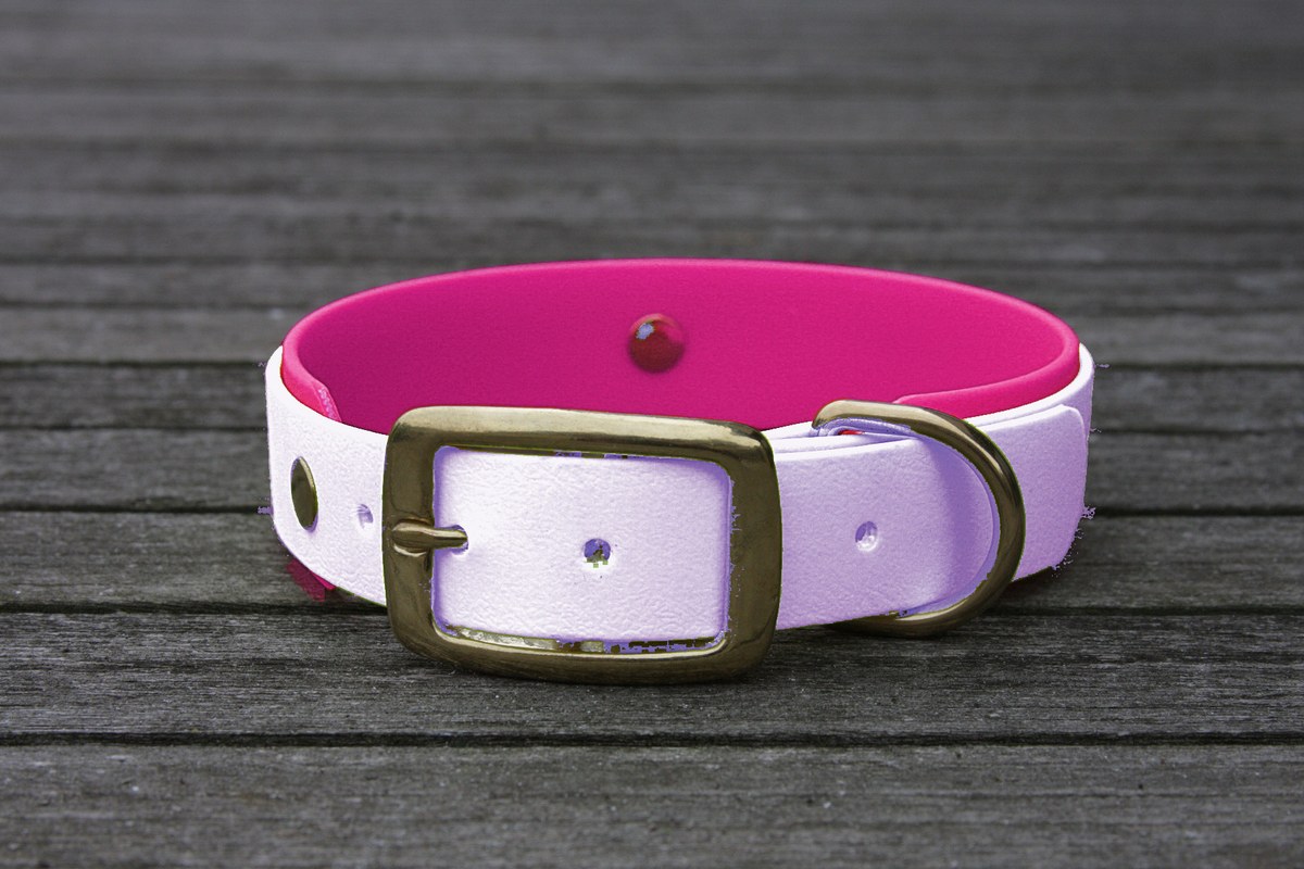 Biothane Halsband 19/25mm "bicolor" (Schnalle) bicolor: lavendel / beere — handgefertigt